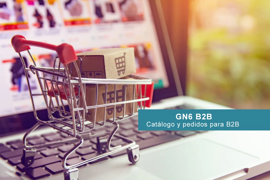 GN6 B2B Envío automático de catálogo y gestión de pedidos de marketplaces